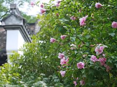 -南京民俗博物馆(甘熙故居)