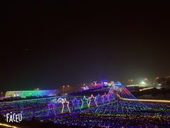 -大塘金香草谷