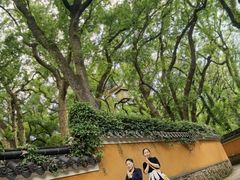 -普陀山风景名胜区-法雨禅寺