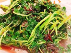 -新聚丰菜馆(太监弄店)