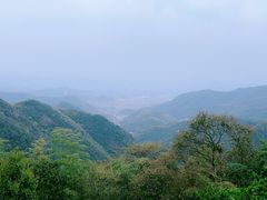 -莫干山风景区