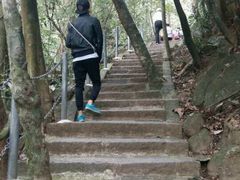 -七仙岭温泉国家森林公园