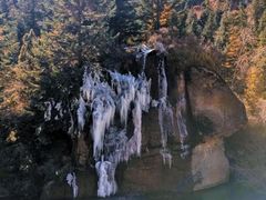 -芦芽山旅游度假区