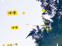 -八大关景区