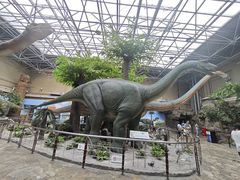 -国家自然博物馆