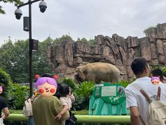 -成都动物园