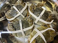 -阳澄湖大闸蟹·琼灵阁牌品牌连锁(吴中总店)