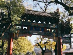 -北京国子监胡同