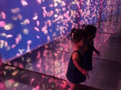 -江和美海洋公园