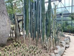 -南山植物园