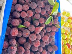 -上海龙吴水胜海发市场