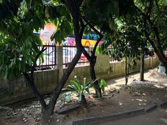 -Belice Chocolate Kingdom
