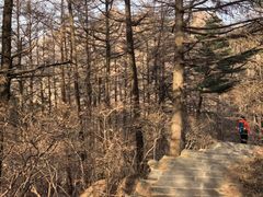 -崂山巨峰游览区