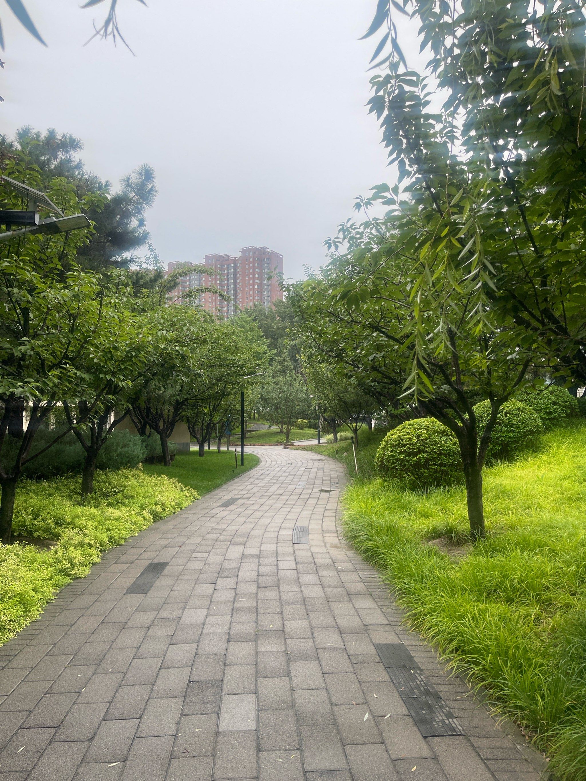 公园小径漫步时