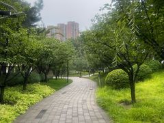 -庆丰公园-停车场