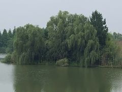 -苏州太湖国家湿地公园