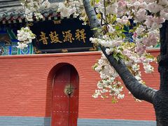 -洛阳白马寺