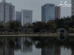 -四海公园(南山区)