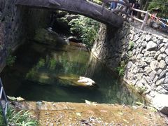 -藏龙百瀑风景区