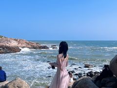 -广东惠东海龟国家级自然保护区