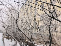 -黑龙江大学