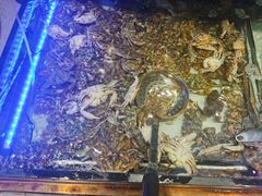 -御江山炭火自助烤肉