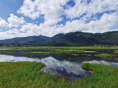 -腾冲北海湿地