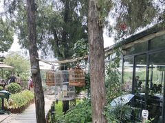 -蘇河湾·新鲁菜·泰山宴(泰山店)