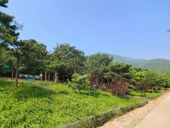 -北京西山国家森林公园