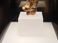 -四川大学博物馆