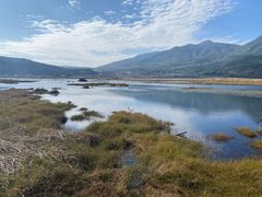 -腾冲北海湿地