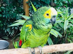 -南宫五洲植物乐园