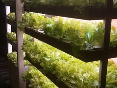 -满堂欢豆捞坊(美丽华大酒店店)