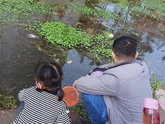 -秀丽东方