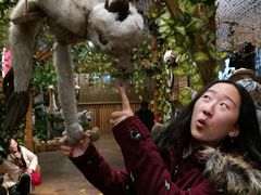 -济州岛泰迪熊博物馆