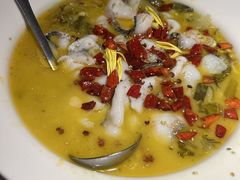 -佬肥猫(七宝宝龙店)