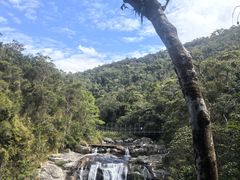 -海南热带雨林国家公园吊罗山景区