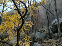 -云蒙山风景区