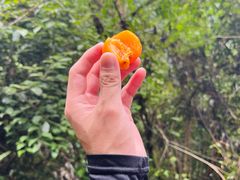 -龙窝子