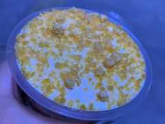 -中百罗森(新武展店)