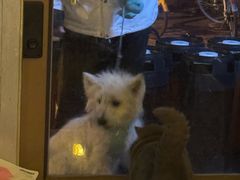 -吹泡·Triphop(棋盘店)