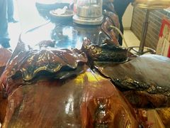 -清真·二嫂子煎饼果子(鼓楼旗舰形象店)