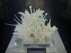-中国地质大学逸夫博物馆