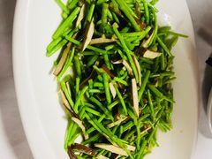 -丁老爷子苏香圆