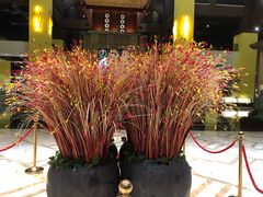 -韶关经律论国际酒店温泉