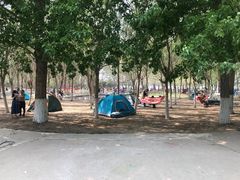 -长白岛森林公园