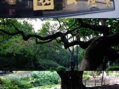 -晓港公园
