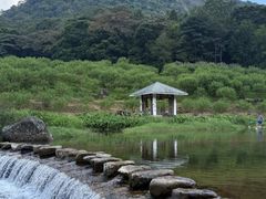 -广州市石门国家森林公园