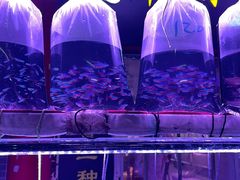 -华声天桥民俗文化园