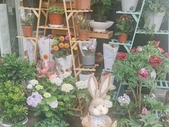-FEI FEI FLOWER鲜花店·气球派对·宝宝宴布置(虹口德必运动Loft店)